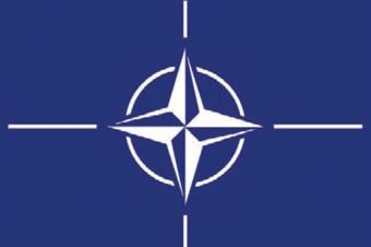 NATO ilə əməkdaşlıq uğurla davam etdirilir