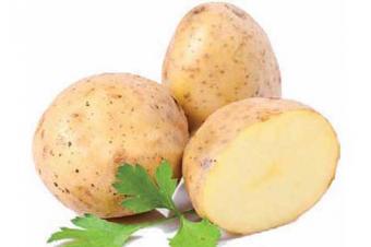Kartof faydalı ərzaq məhsuludur