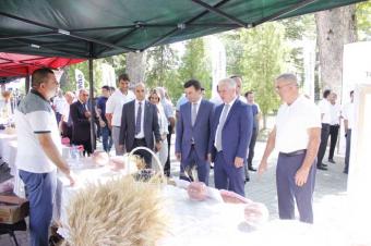 İsmayıllı: Toxum sərgi-satış yarmarkaları məhsul istehsalının artımına hədəflənib
